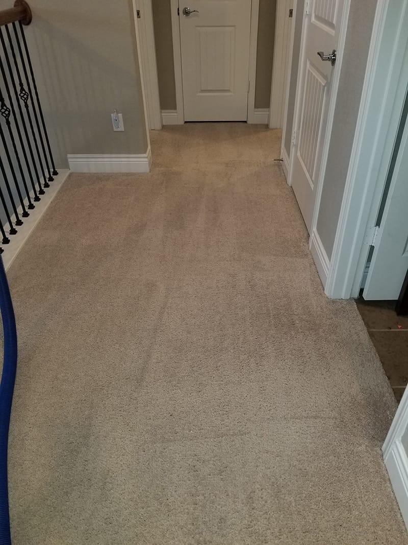 After The Carpet Cleaning Process