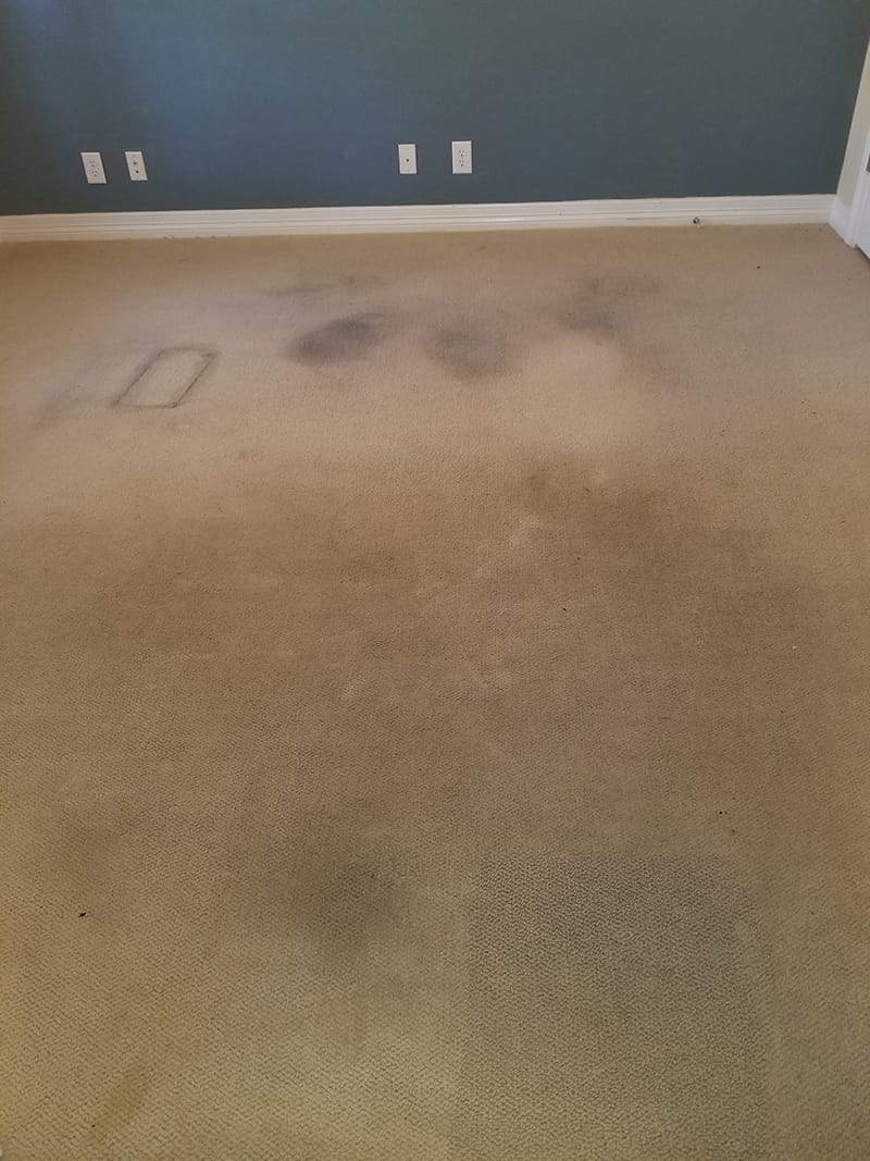 Before The Carpet Cleaning Service