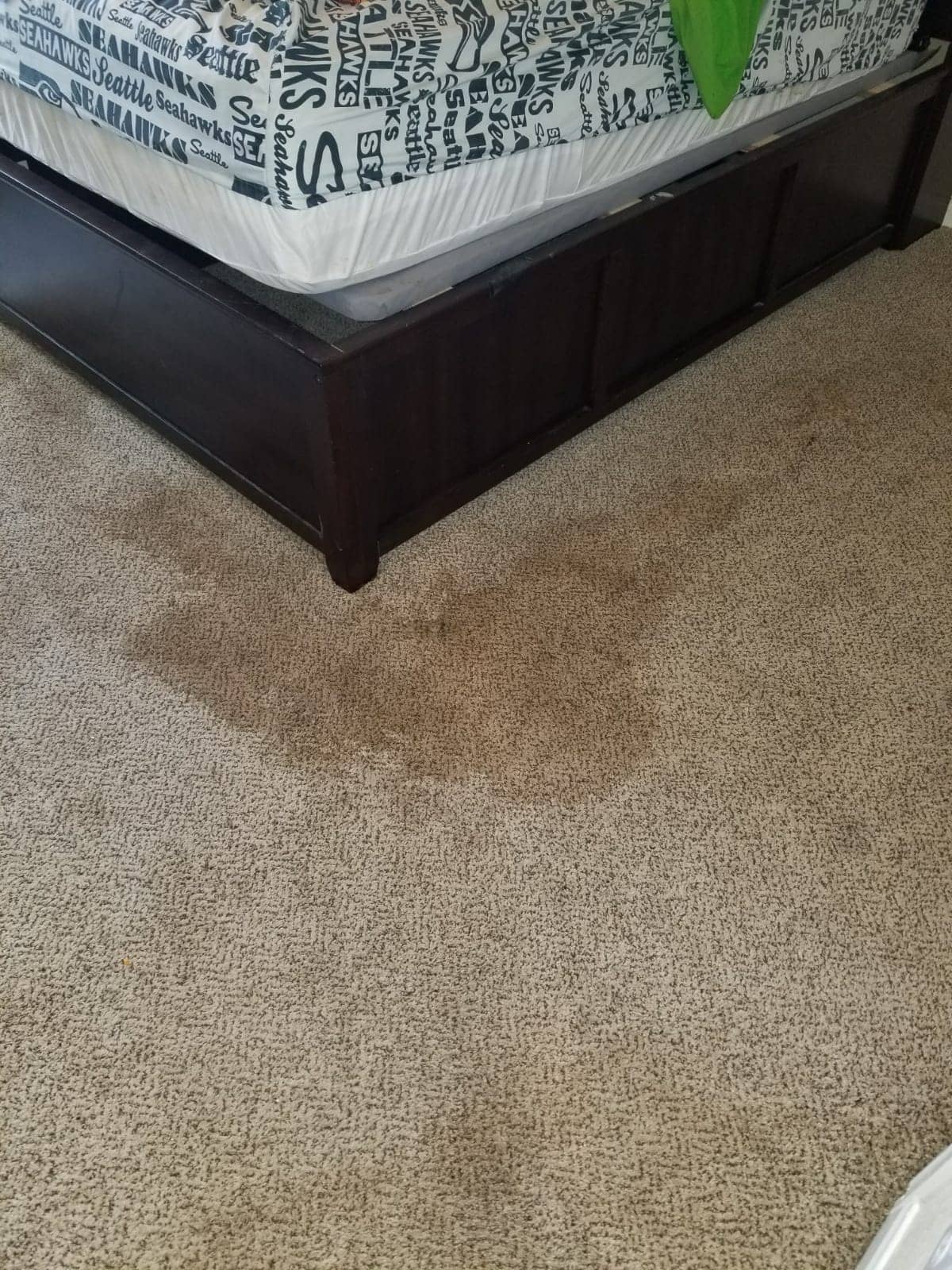 before bedroom carpet cleaning