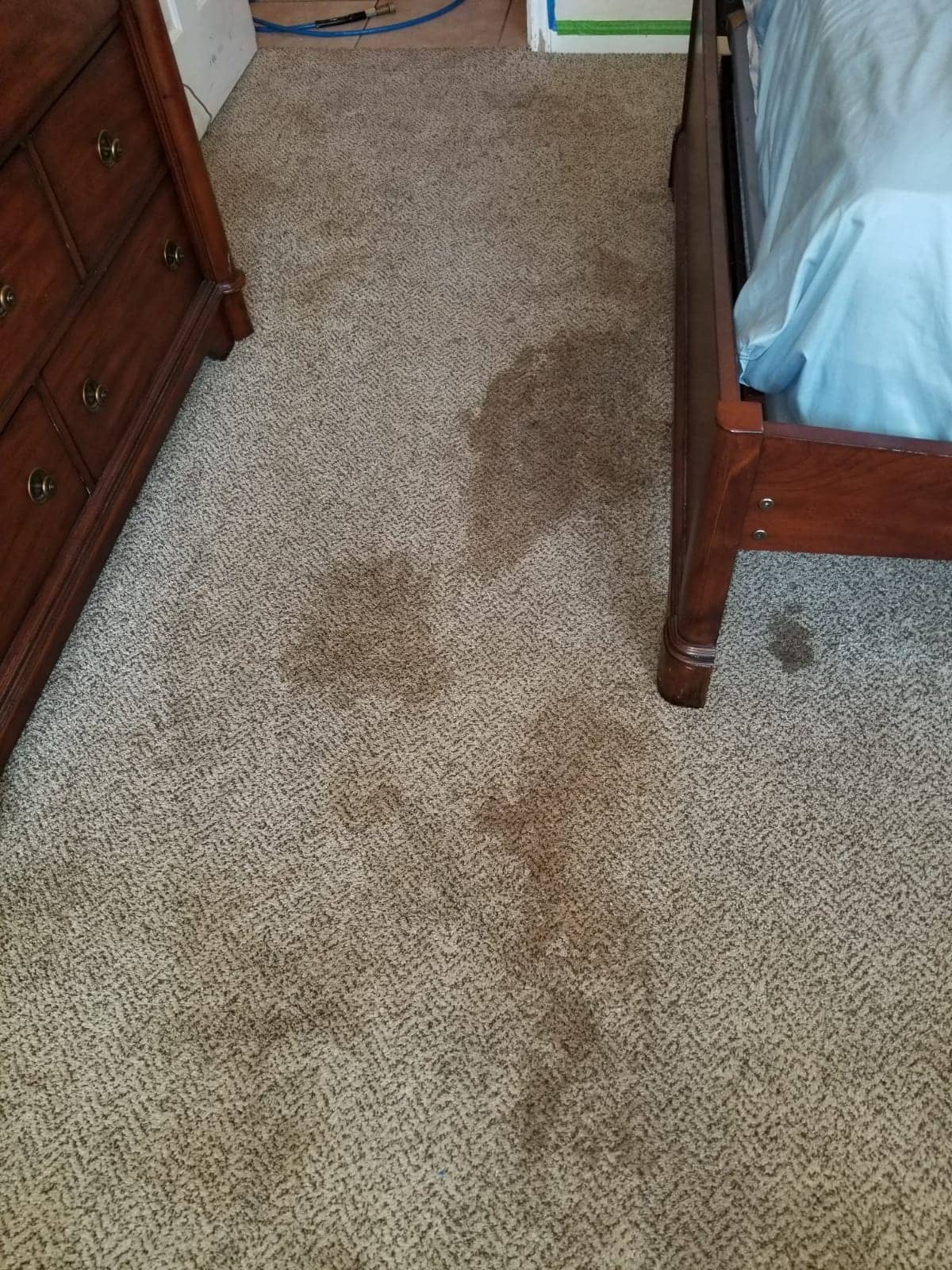 main room before carpet cleaning